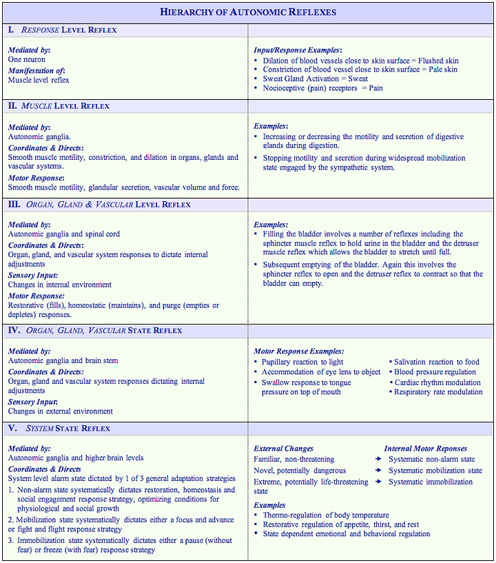 sympathetic vs parasympathetic chart