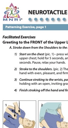 Upper Limb Upper Hand Exercise Upper Arm Workouts At Home Arm